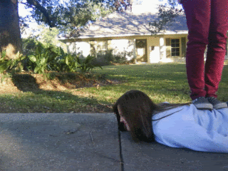 Animation5.gif image by bizzybae