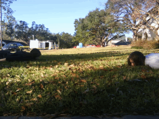 Animation7.gif image by bizzybae